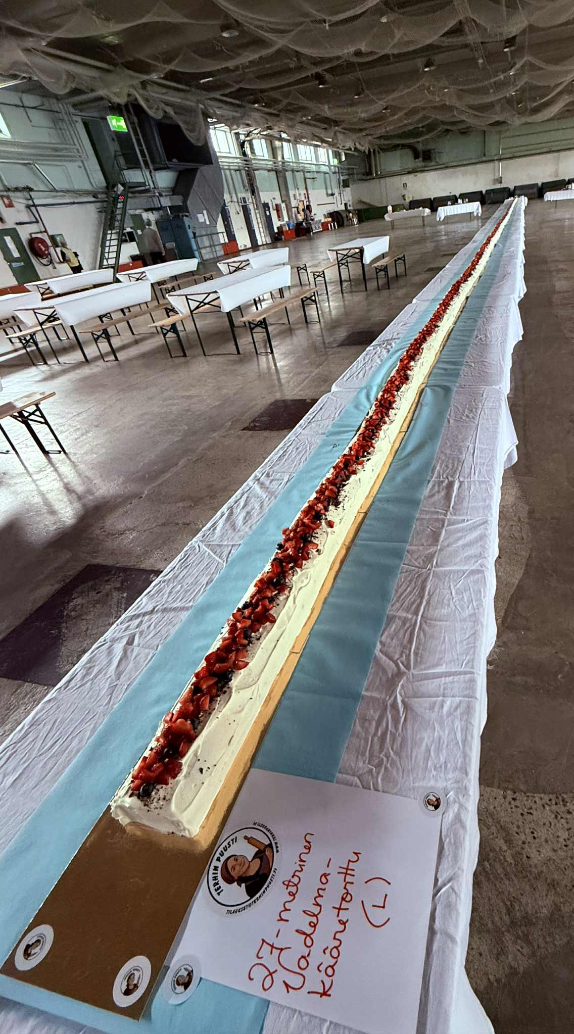 27-metrinen vadelmakääretorttu Terhin Puusti